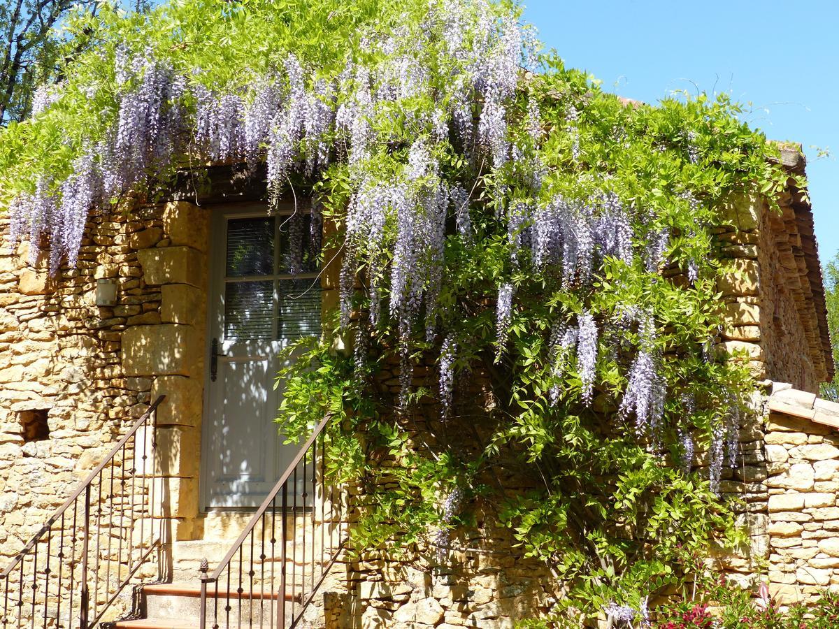 Chambres D'Hotes Les Boudines Saint-Germain-de-Belvès Rom bilde